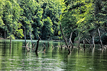 Image showing lake santeetlah scenery in great smoky mountains