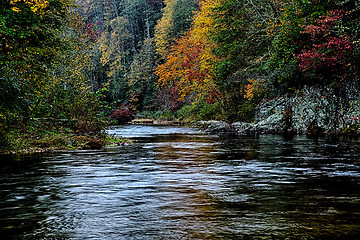 Image showing autumng season in the smoky mountains