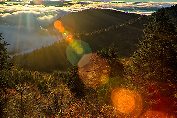 Image showing autumng season in the smoky mountains