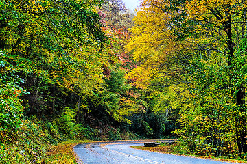 Image showing autumng season in the smoky mountains