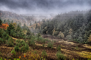 Image showing autumng season in the smoky mountains