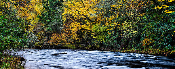 Image showing autumng season in the smoky mountains