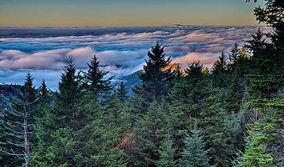 Image showing autumng season in the smoky mountains