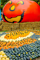 Image showing pumpkin and harvest decorations for the holidays