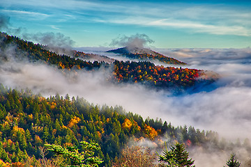 Image showing autumng season in the smoky mountains