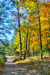 Image showing stone mountain north carolina scenery during autumn season