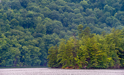 Image showing lake santeetlah scenery in great smoky mountains