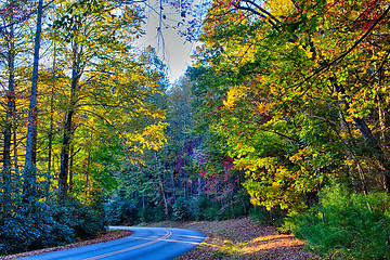 Image showing stone mountain north carolina scenery during autumn season