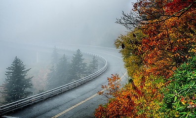 Image showing autumng season in the smoky mountains