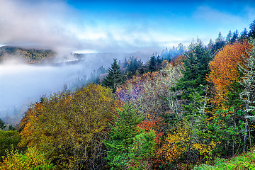 Image showing autumng season in the smoky mountains