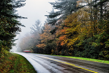 Image showing autumng season in the smoky mountains