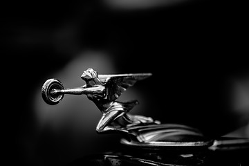 Image showing woman holding wheel car hood emblem