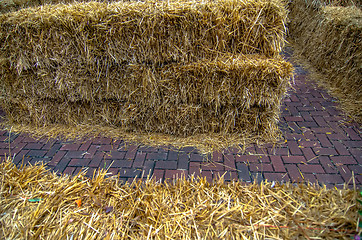 Image showing Maze for either people or livestock to navigate made from straw 