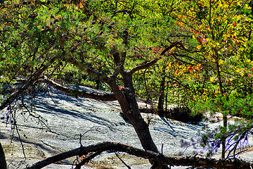 Image showing stone mountain north carolina scenery during autumn season