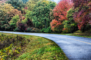 Image showing autumng season in the smoky mountains