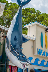 Image showing giant fake plastic shark hanging by the store entrance