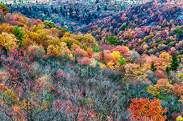 Image showing autumn drive on blue ridge parkway