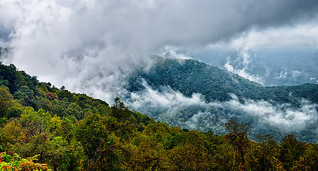 Image showing autumng season in the smoky mountains