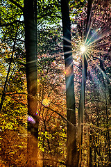 Image showing stone mountain north carolina scenery during autumn season