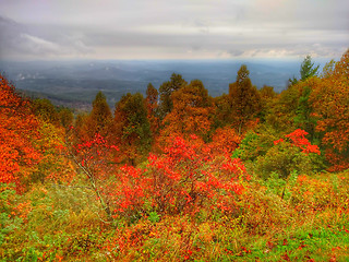 Image showing autumn drive on blue ridge parkway