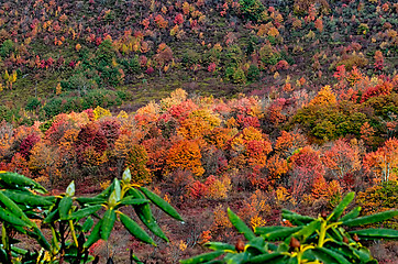 Image showing autumn drive on blue ridge parkway