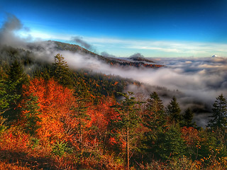 Image showing autumn drive on blue ridge parkway