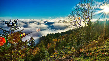 Image showing autumng season in the smoky mountains