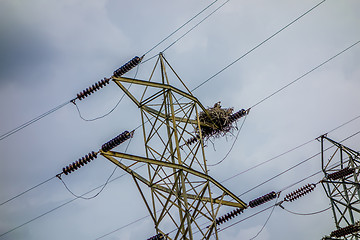 Image showing osprey nest on power lines