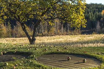 Image showing Autumn scene