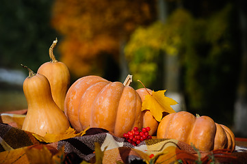 Image showing Autumn thanksgiving still life with pumpkins