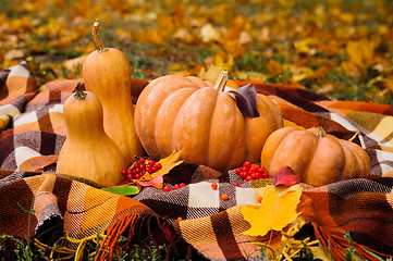 Image showing Autumn thanksgiving still life with pumpkins