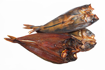 Image showing Fish