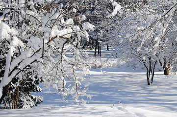 Image showing Winter park