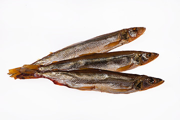 Image showing Fish