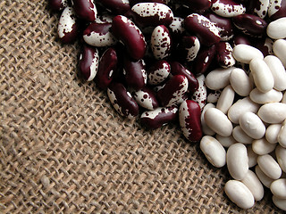 Image showing beans