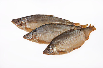 Image showing Fish