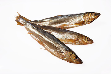 Image showing Fish