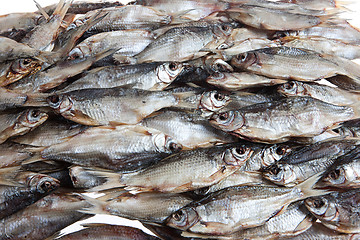 Image showing Fish