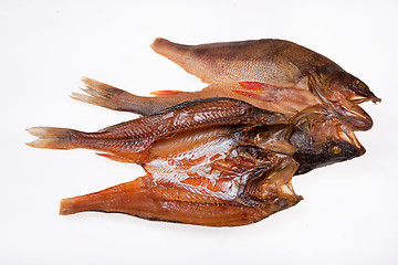 Image showing Fish