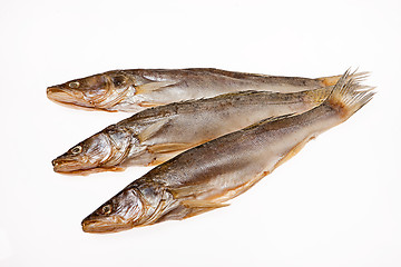 Image showing Fish