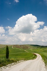 Image showing Country Road