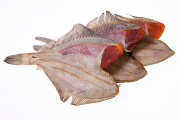 Image showing Fish