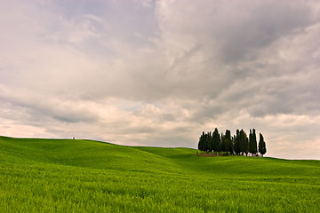 Image showing Beautiful Toscana