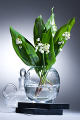 Image showing Lily Of The Valley