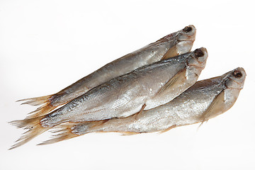 Image showing Fish