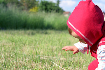 Image showing Little Red Riding Hood