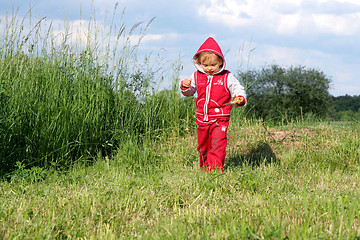 Image showing Little Red Riding Hood