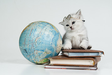 Image showing Kitten, Books And Globe