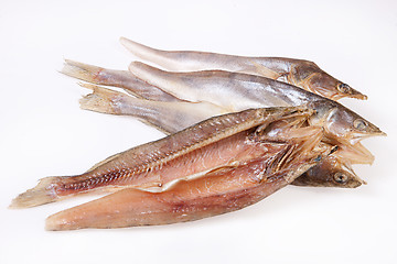 Image showing Fish