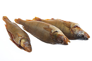 Image showing Fish